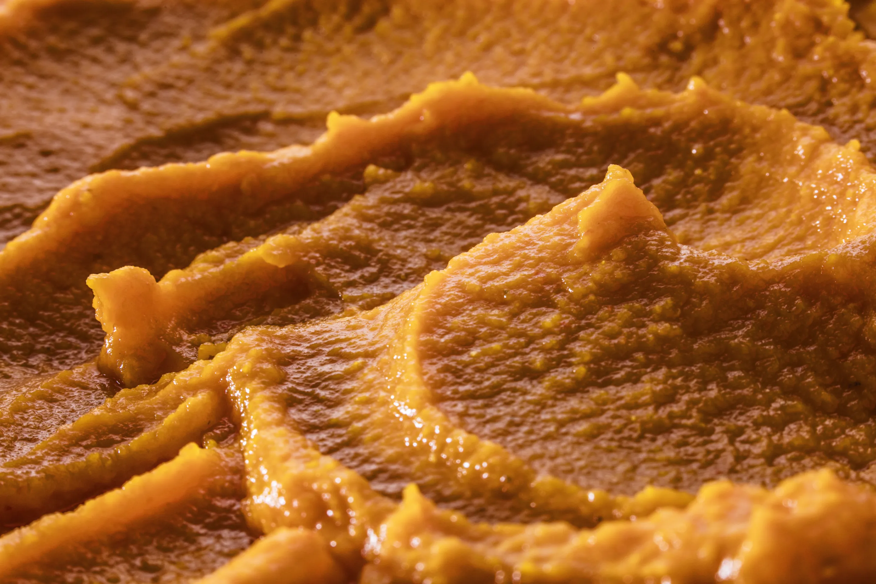 Purée de courges 100% légumes BIO origine France