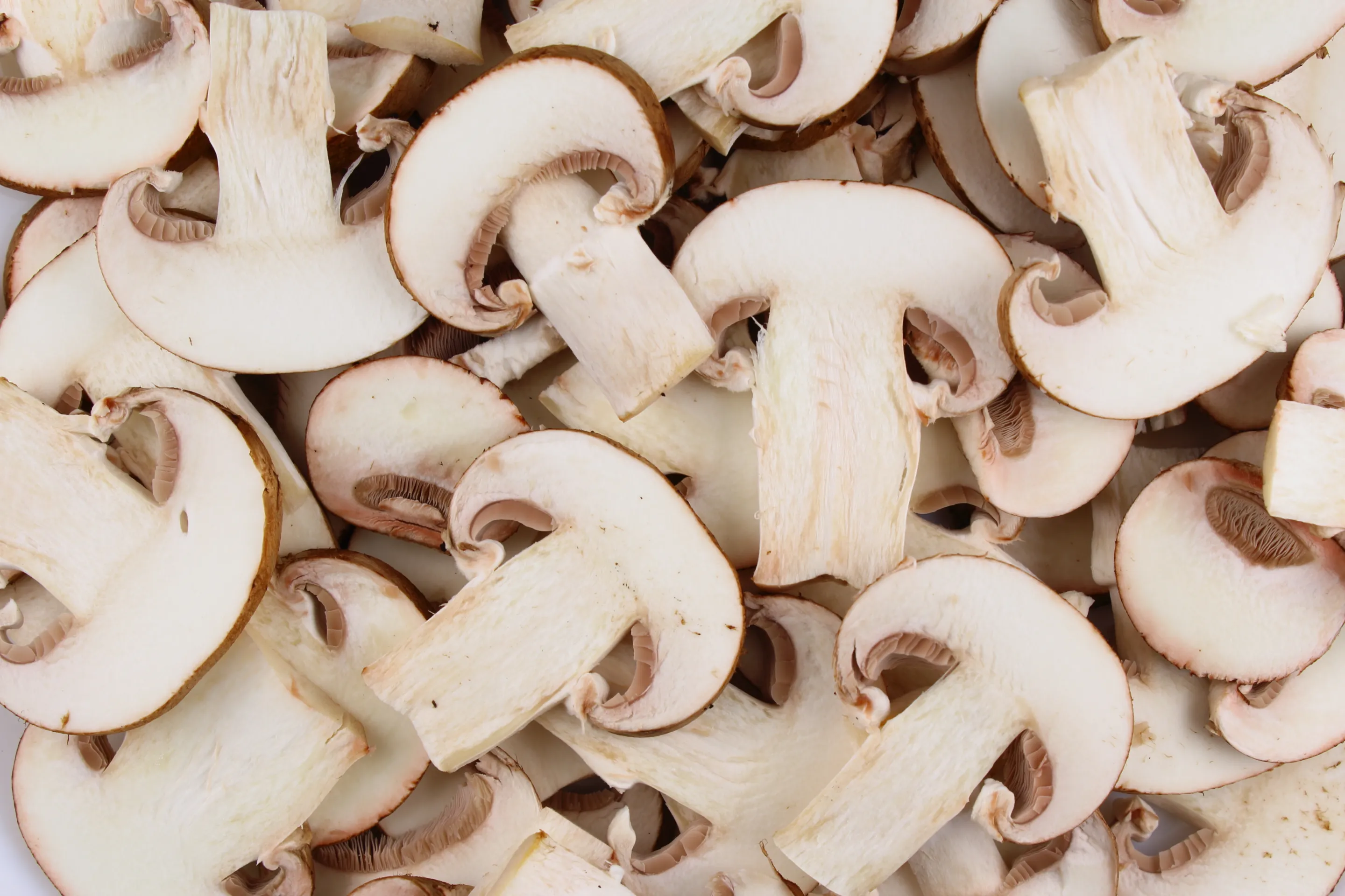 Champignons Scheiben 2.Wahl