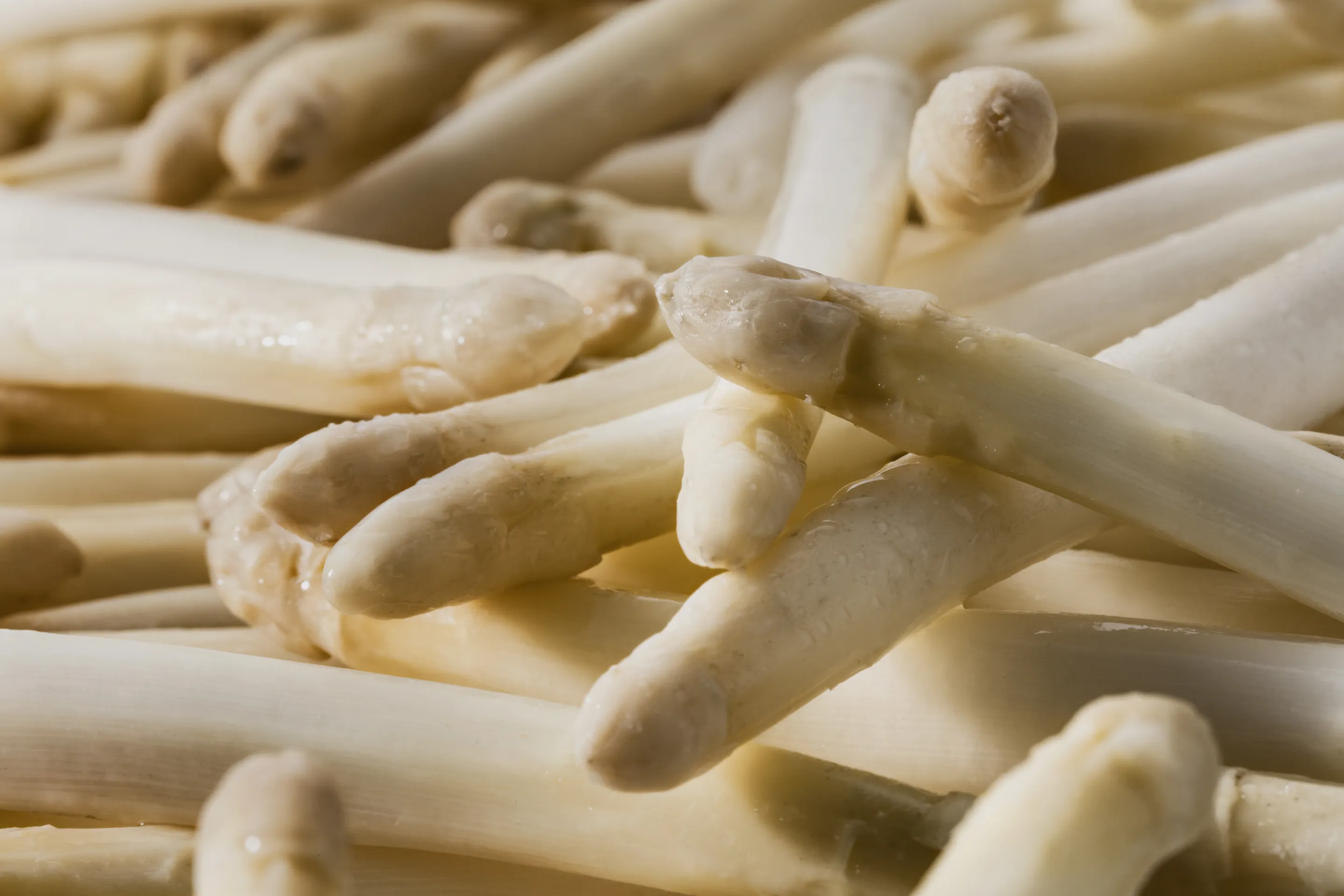 Asperges blanches - pointes blanches grosses