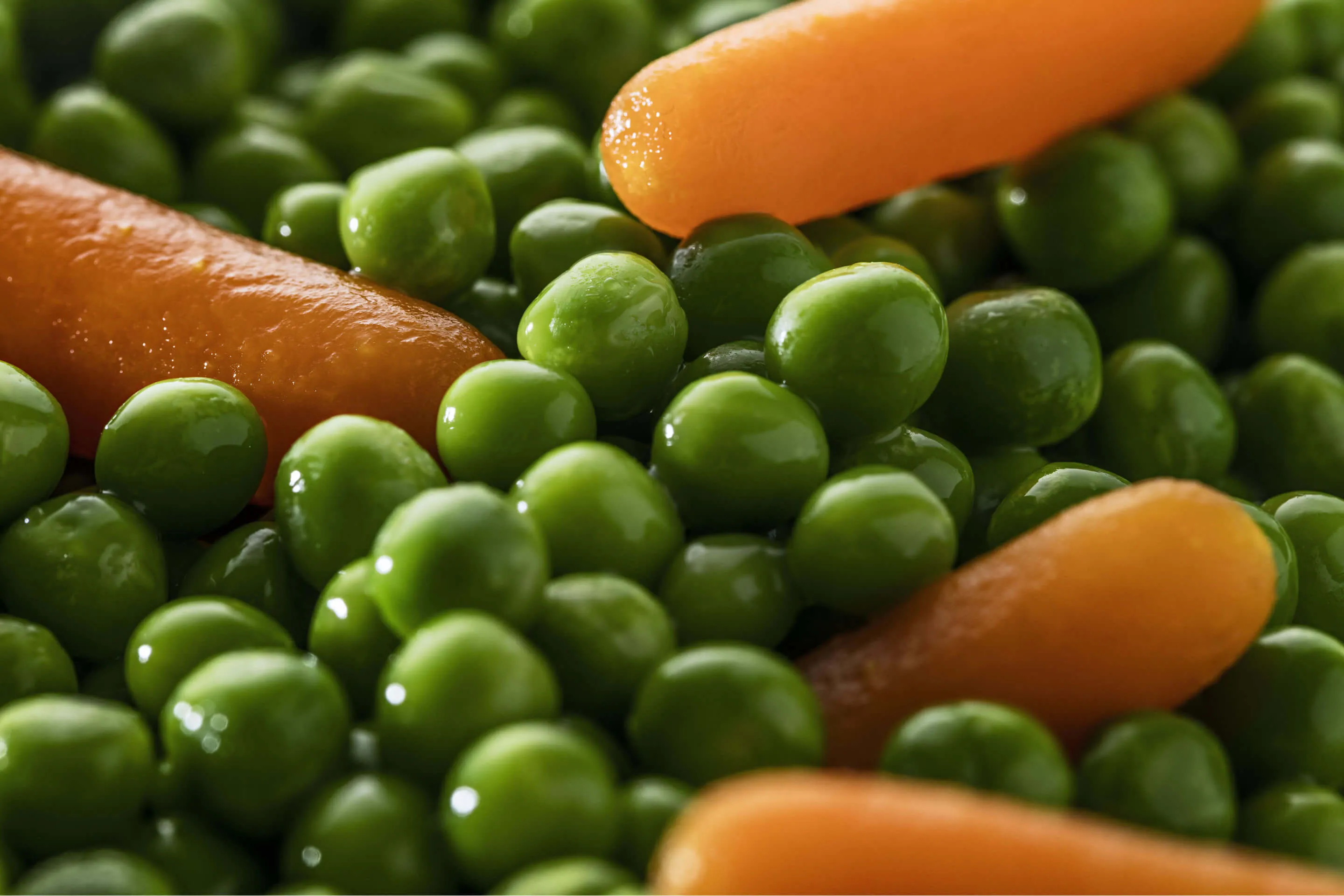 Legumes Primavera