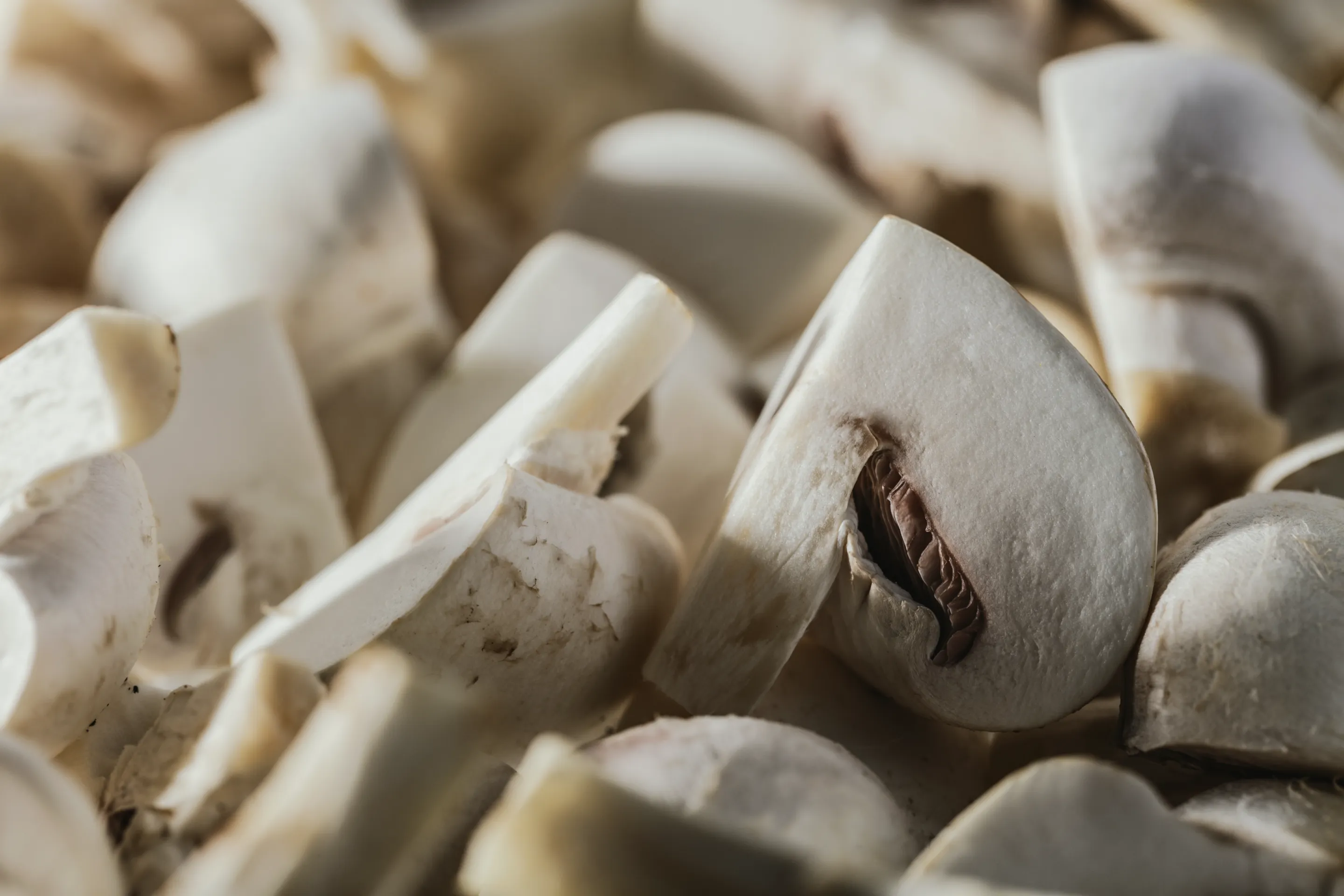 Champignons de Paris Pieds et Morceaux origine France