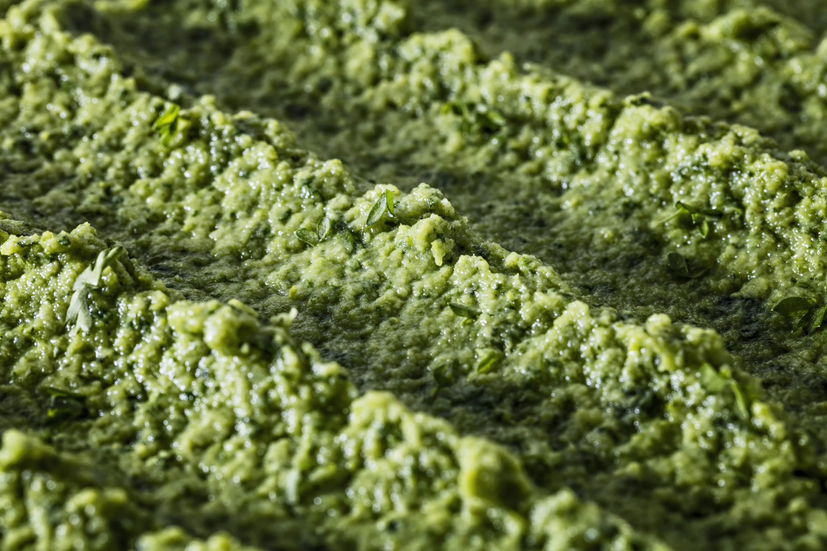 Purée Délice - Haricots Verts, Courgettes, Epinards, Pois, Crème - 4 saveurs