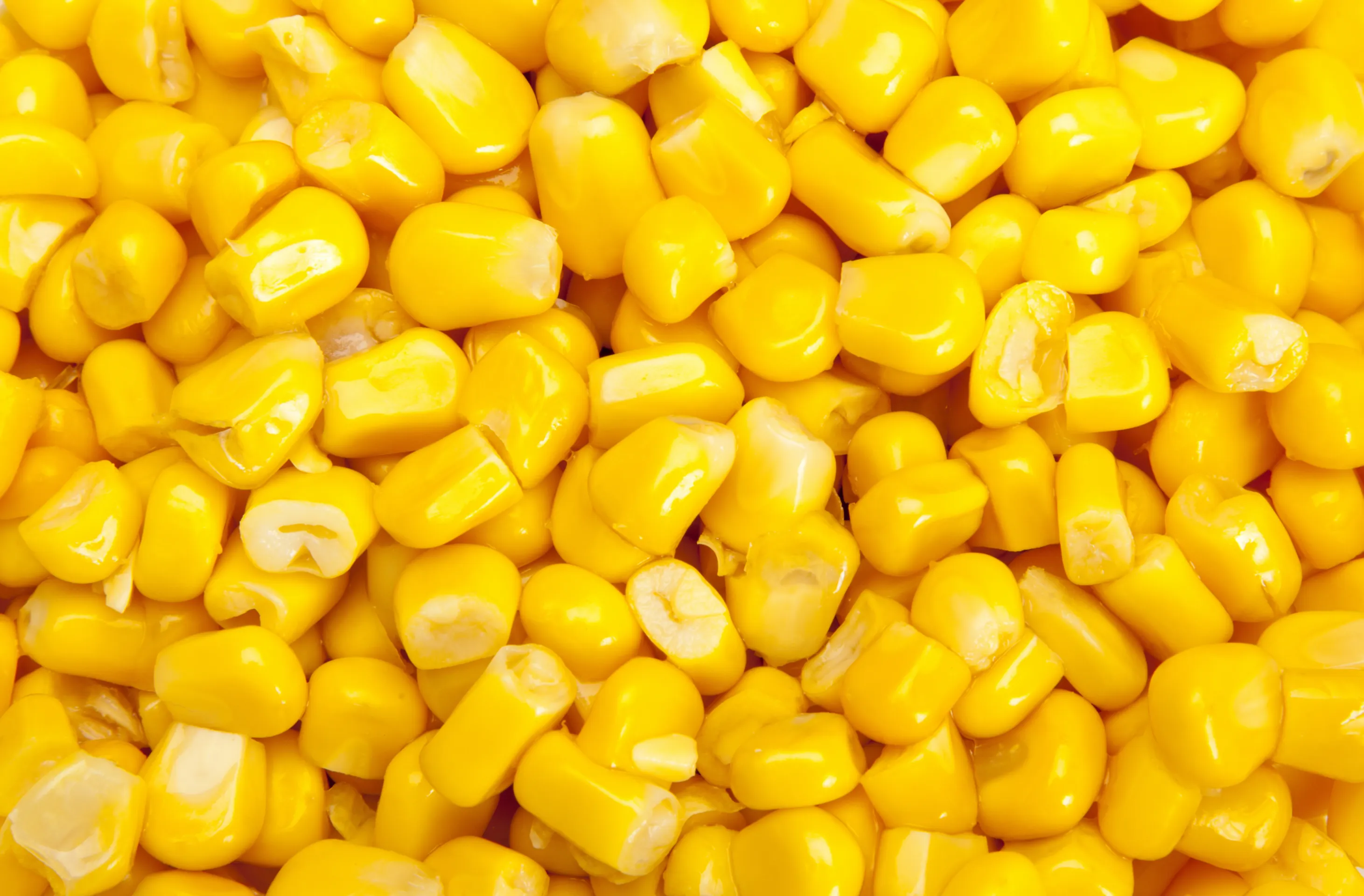Bio Goldmais®