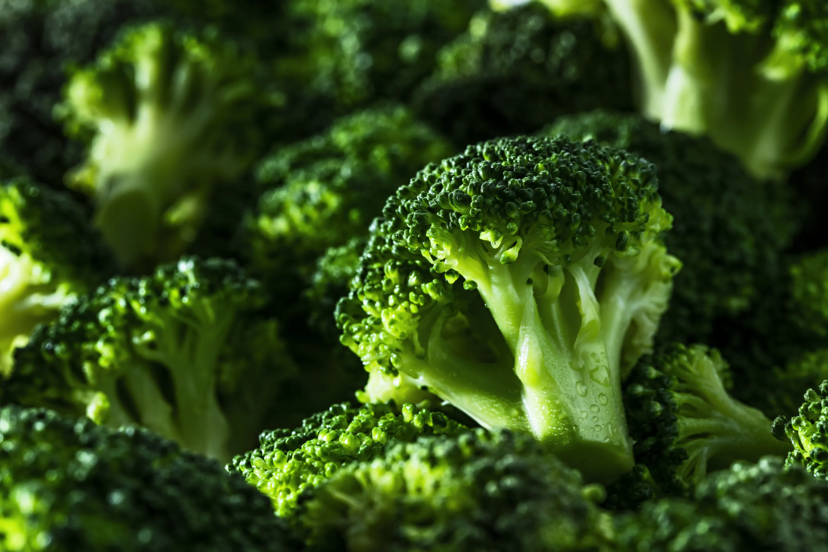 Broccoliroosjes