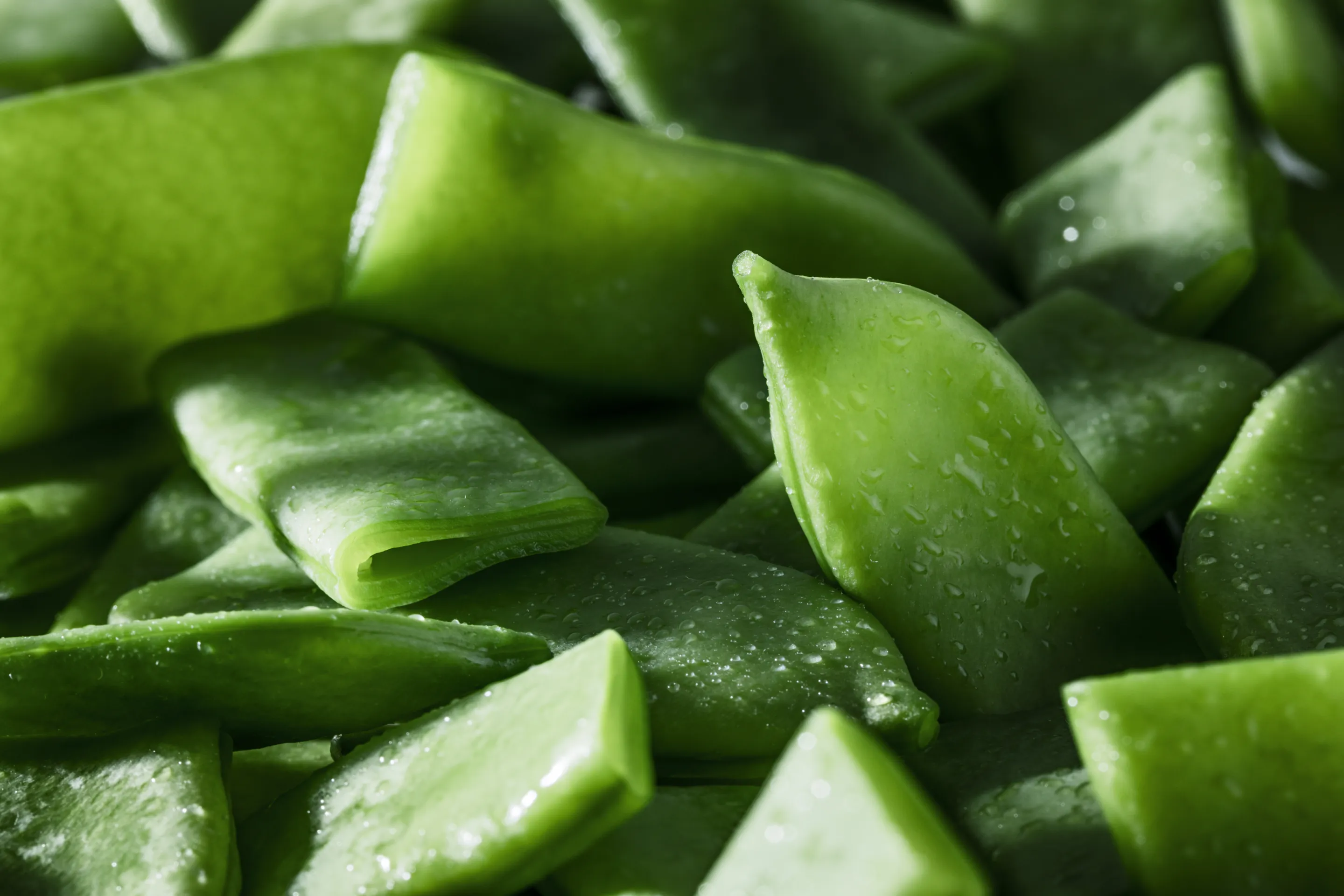 Haricots verts plats coupés Minute® CE2 origine France