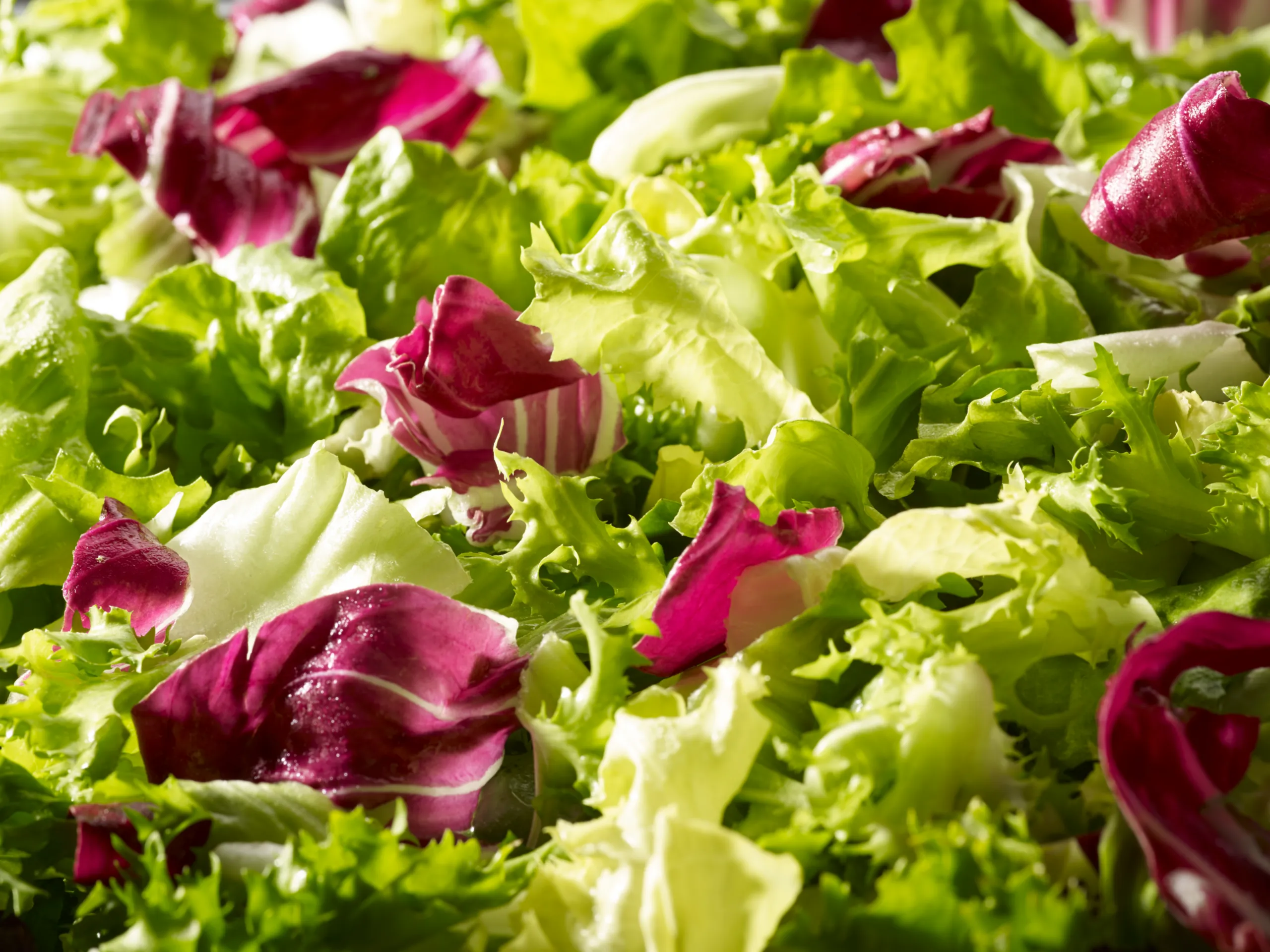 Salade Mélangée Petit Prix 330g