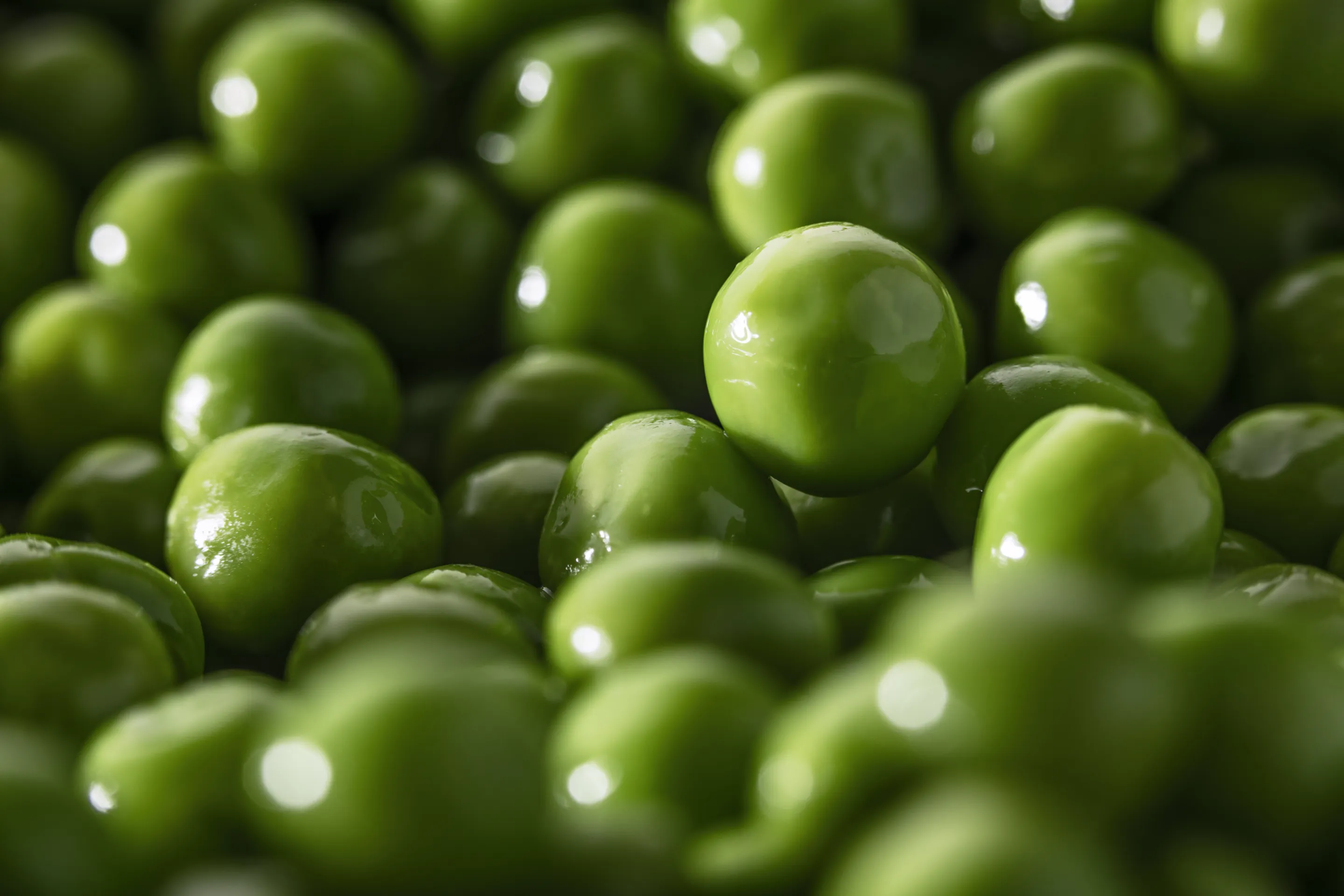 Petits pois à l'étuvée CE2 origine France