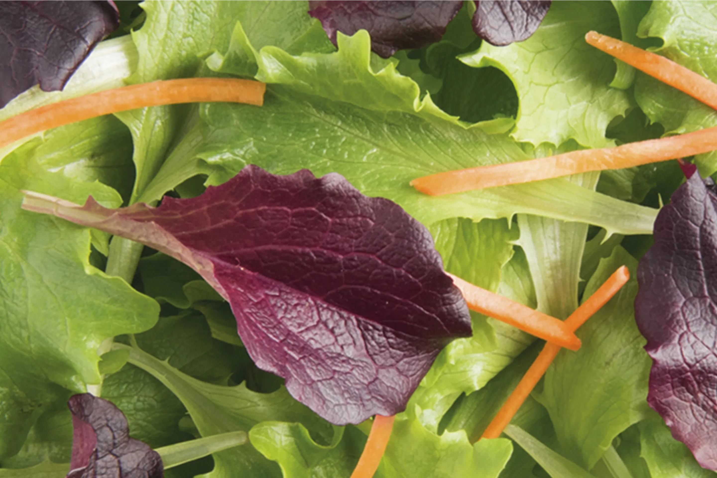 Balance - Insalatone Benessere