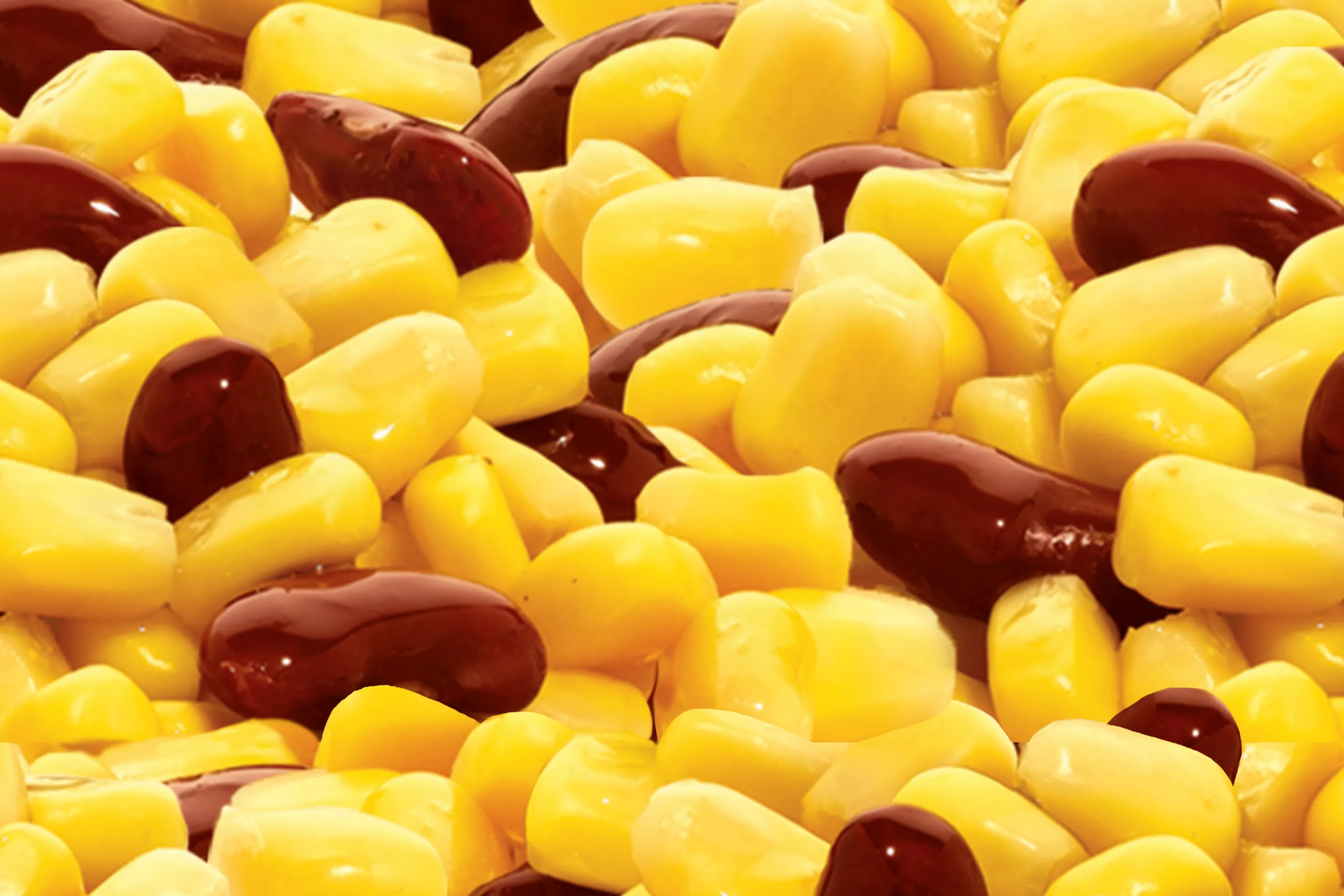 Mais e Fagioli Rossi