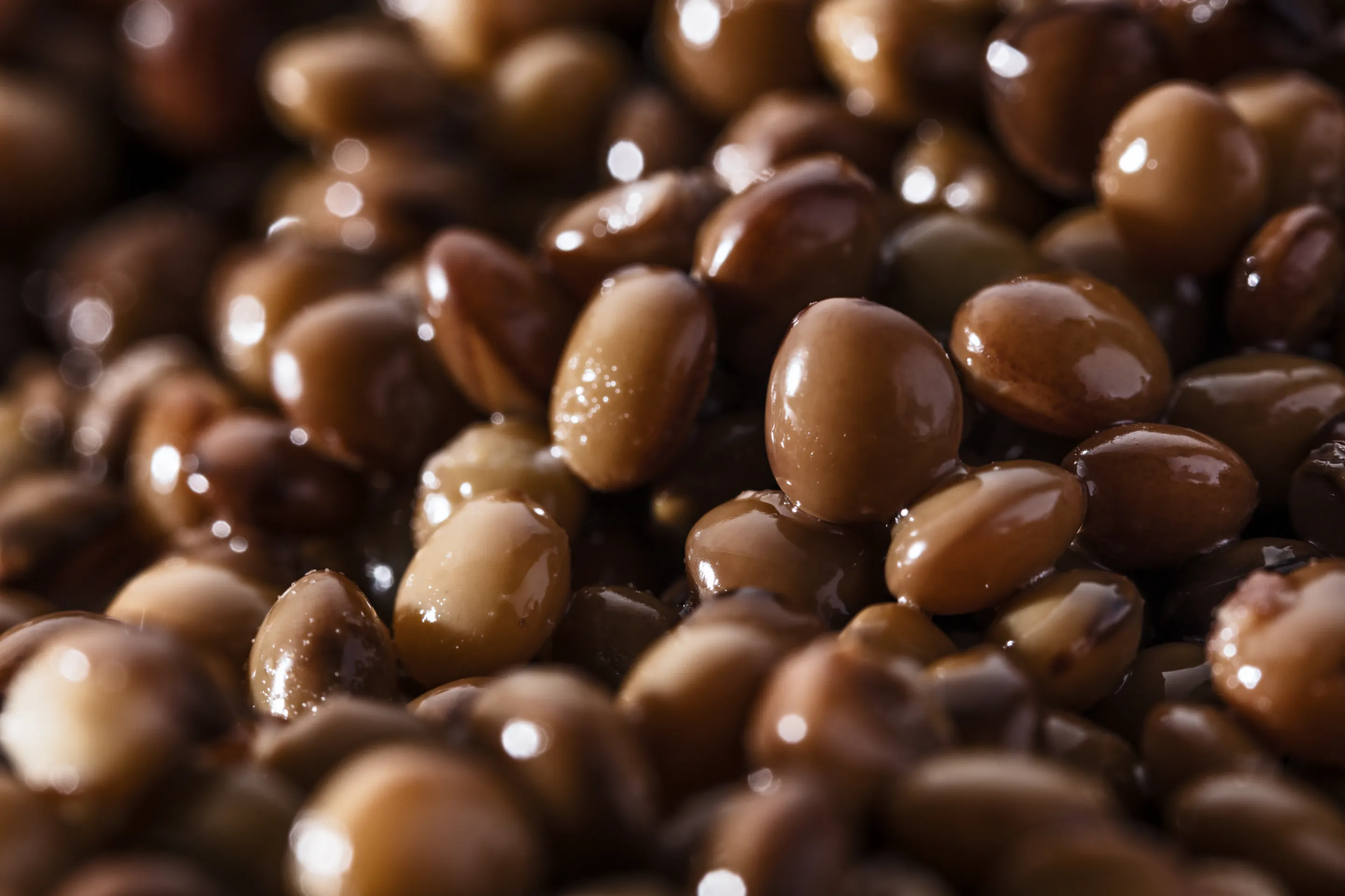 Lentilles cuites dans très peu de jus 1/4x2
