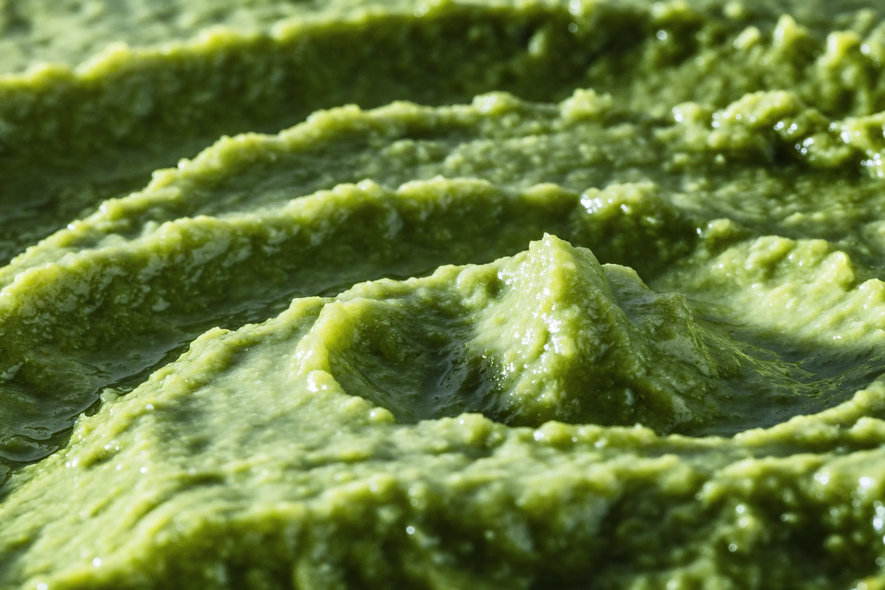 Purée de haricots verts 100% légumes CE2 origine France
