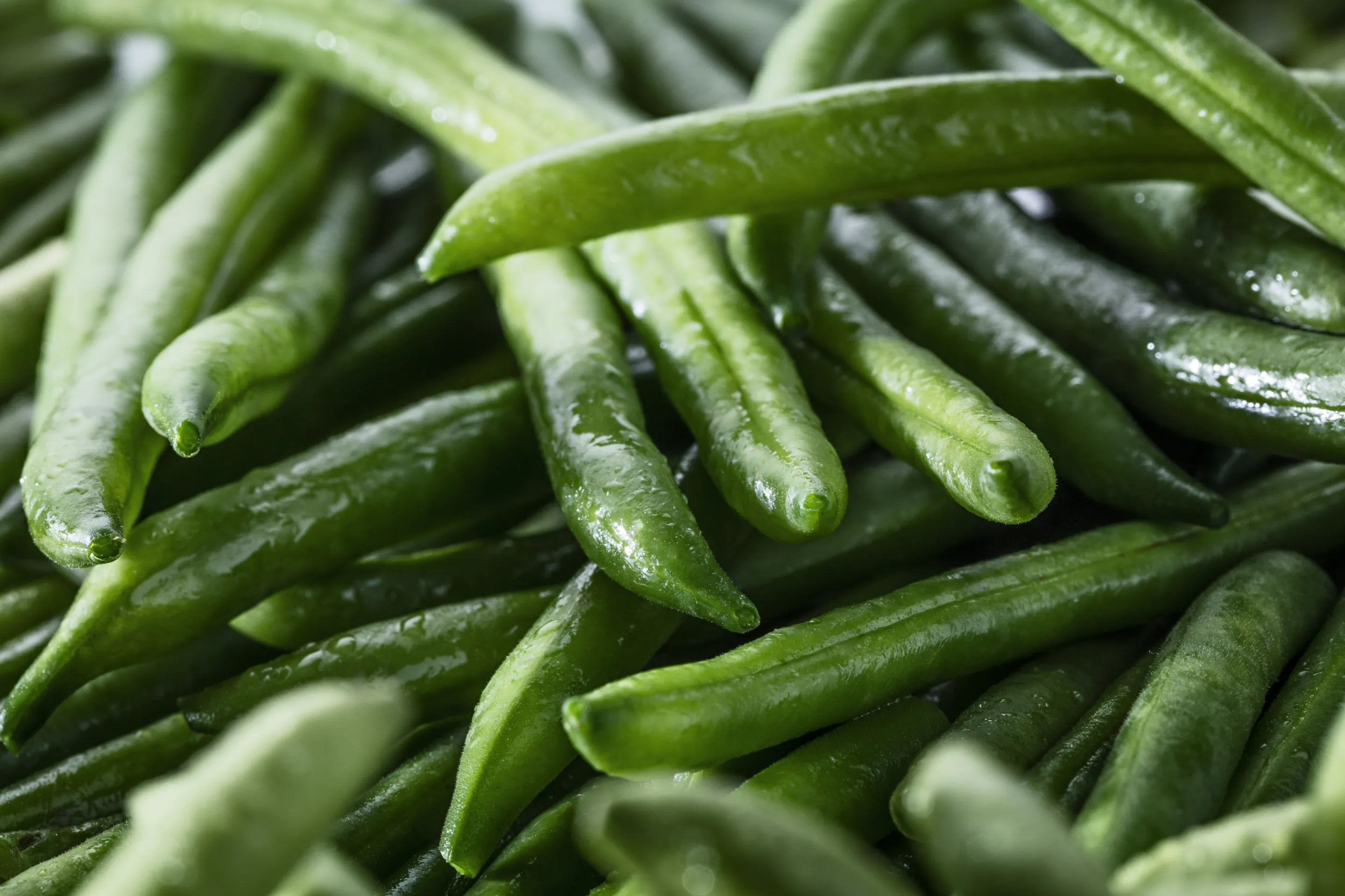 Haricots verts zeer fijn