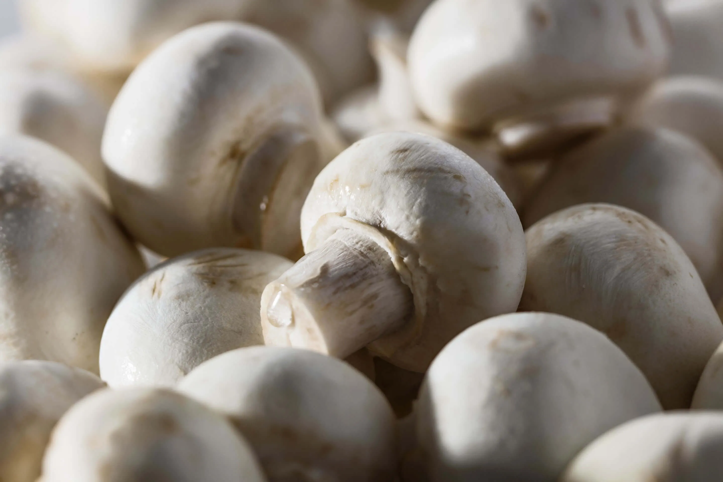 Parijse champignons MINI