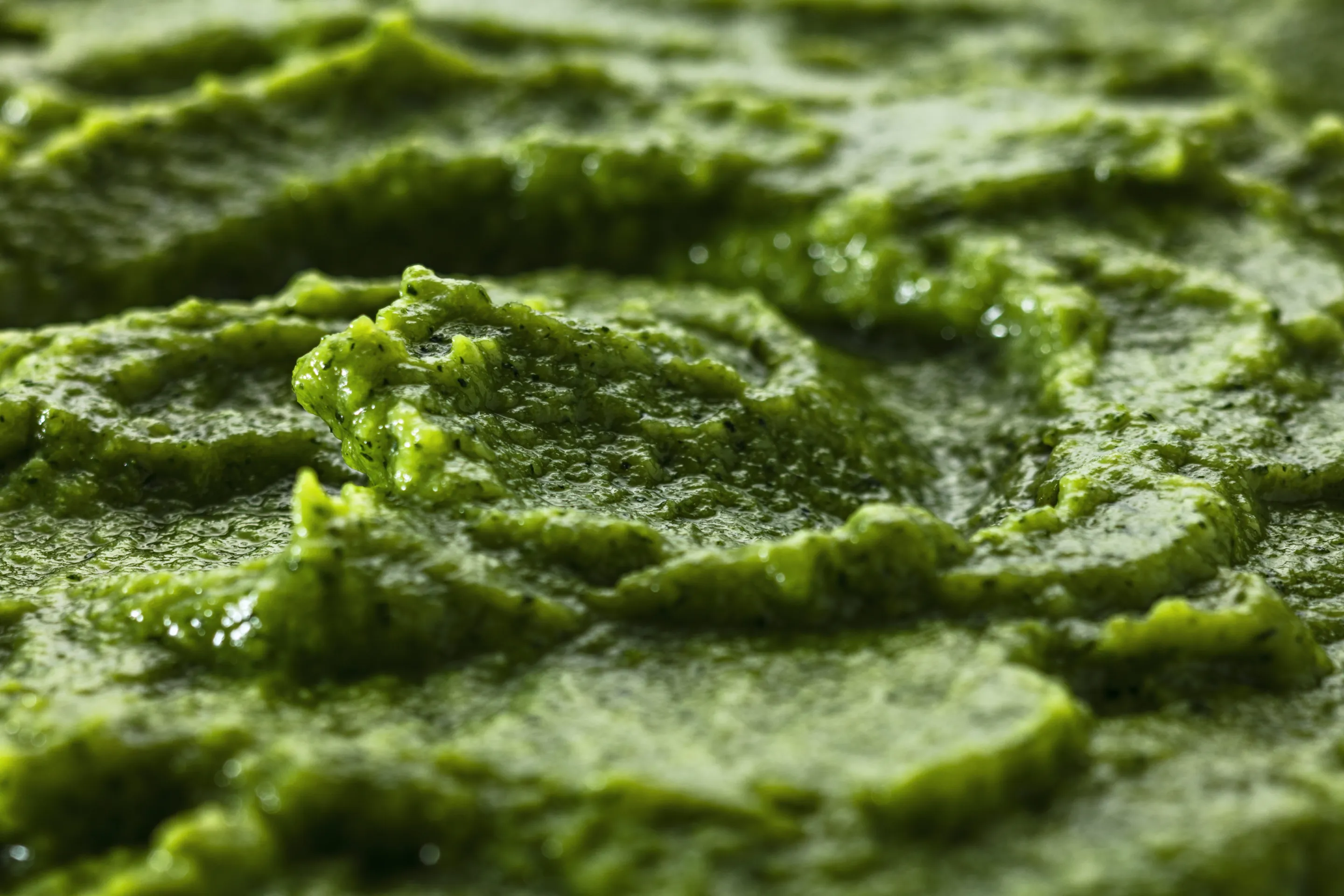 Purée de courgettes 100% légumes CE2 origine France