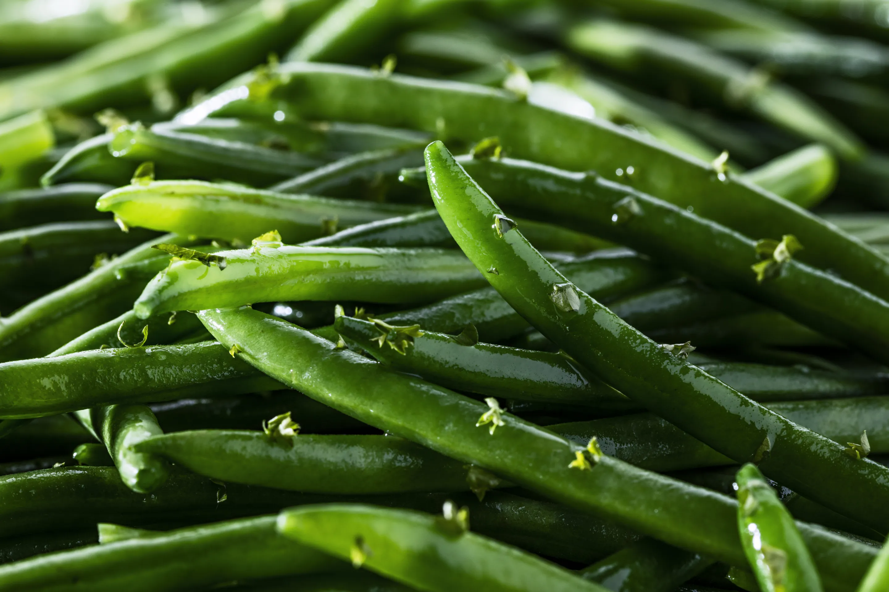 Monodose Haricot vert sauce persillée