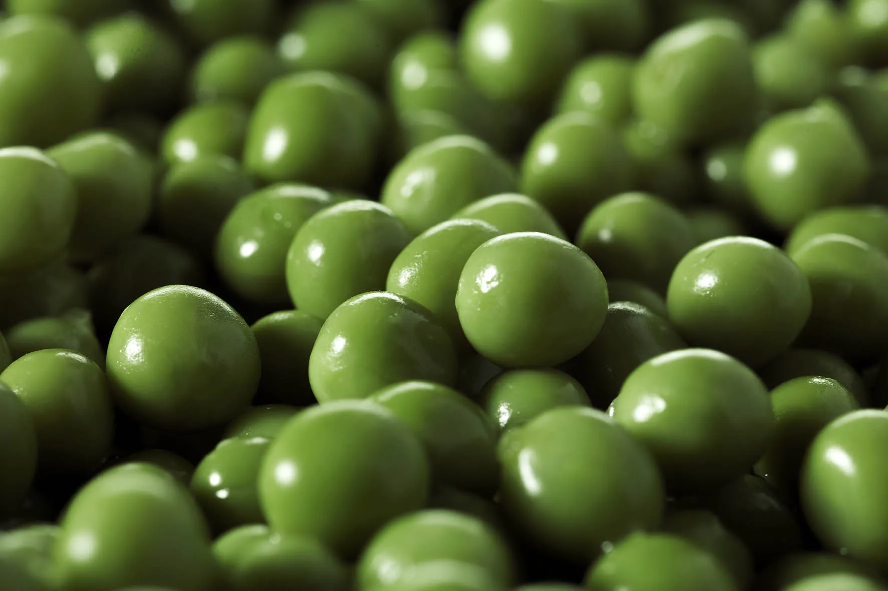 Guisantes cocinados extrafinos