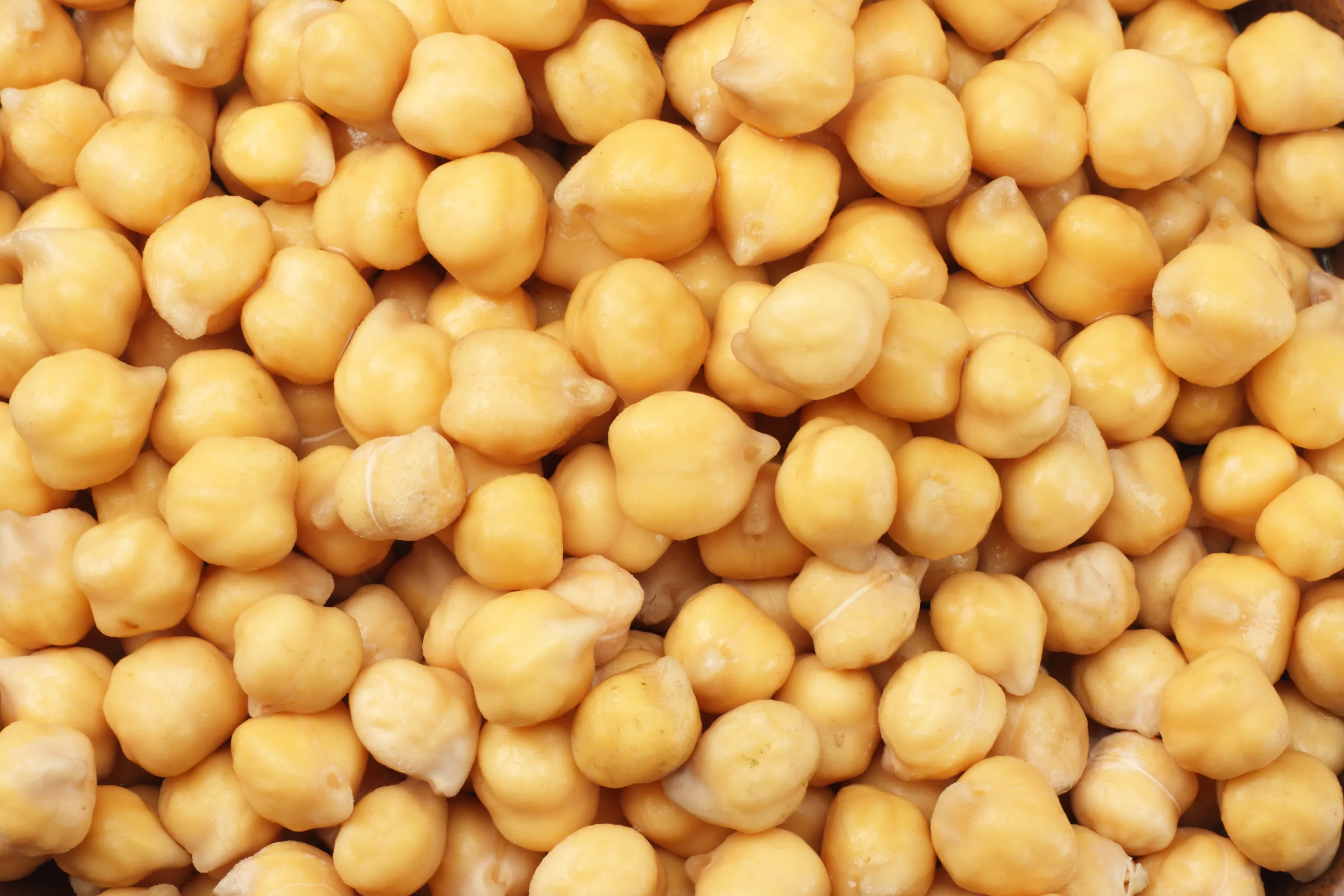 Pois chiches cuits dans très peu de jus 1/4x2