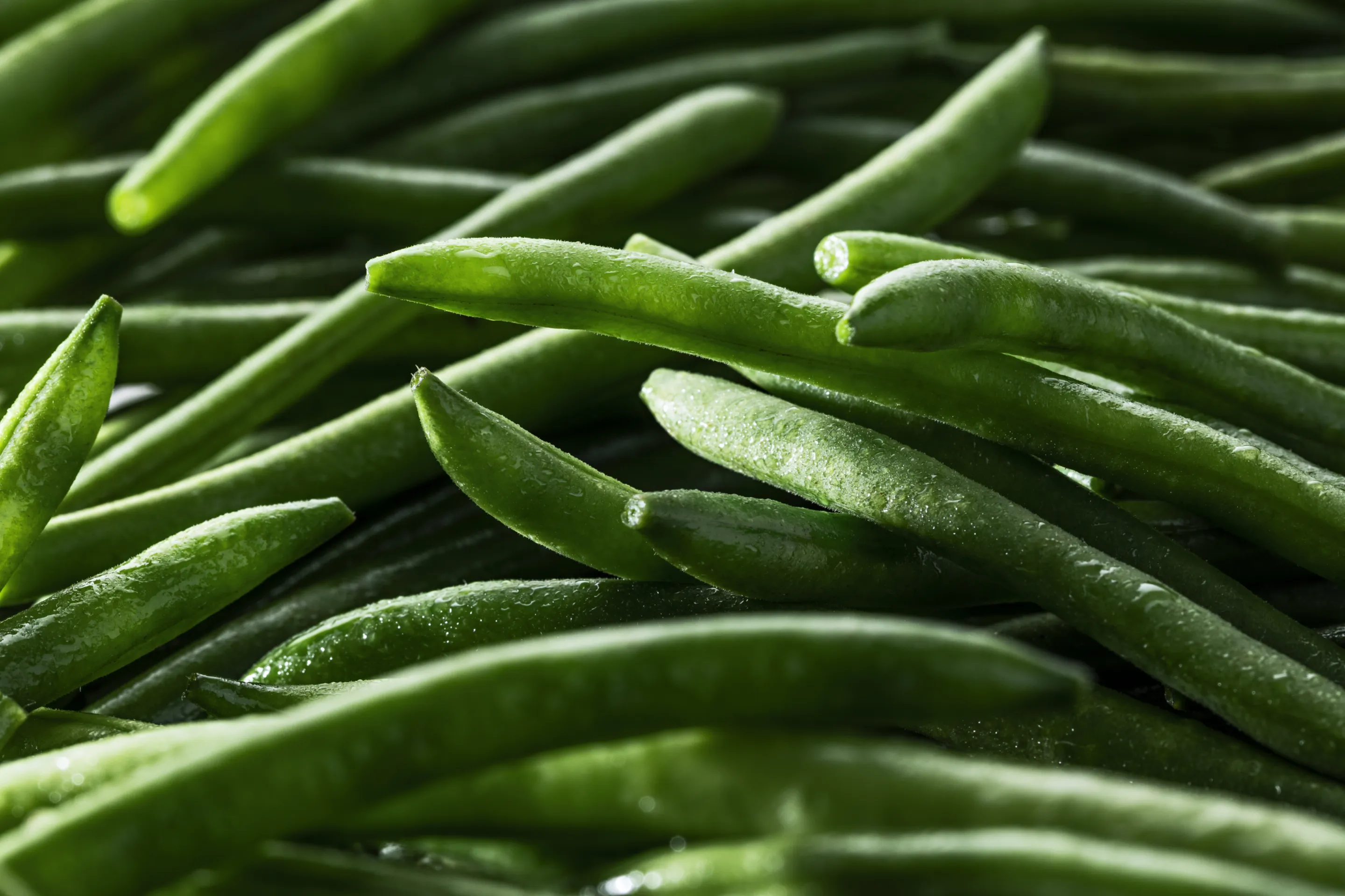 Haricots verts extra-fins