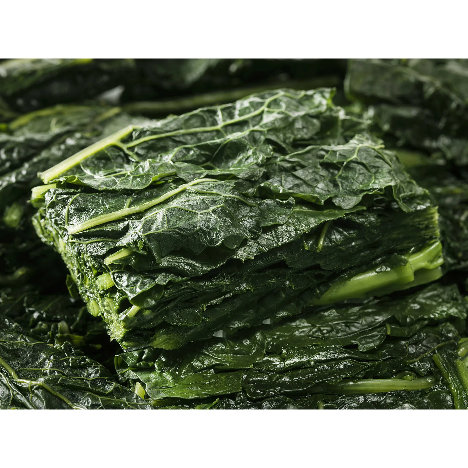 Cavolo nero riccio Kale