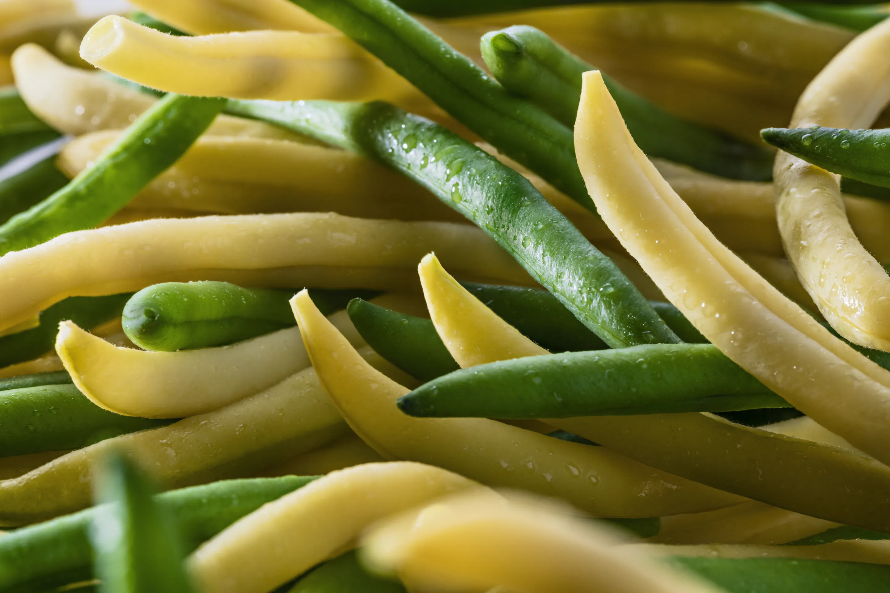 Haricots verts et haricots beurre précuits vapeur