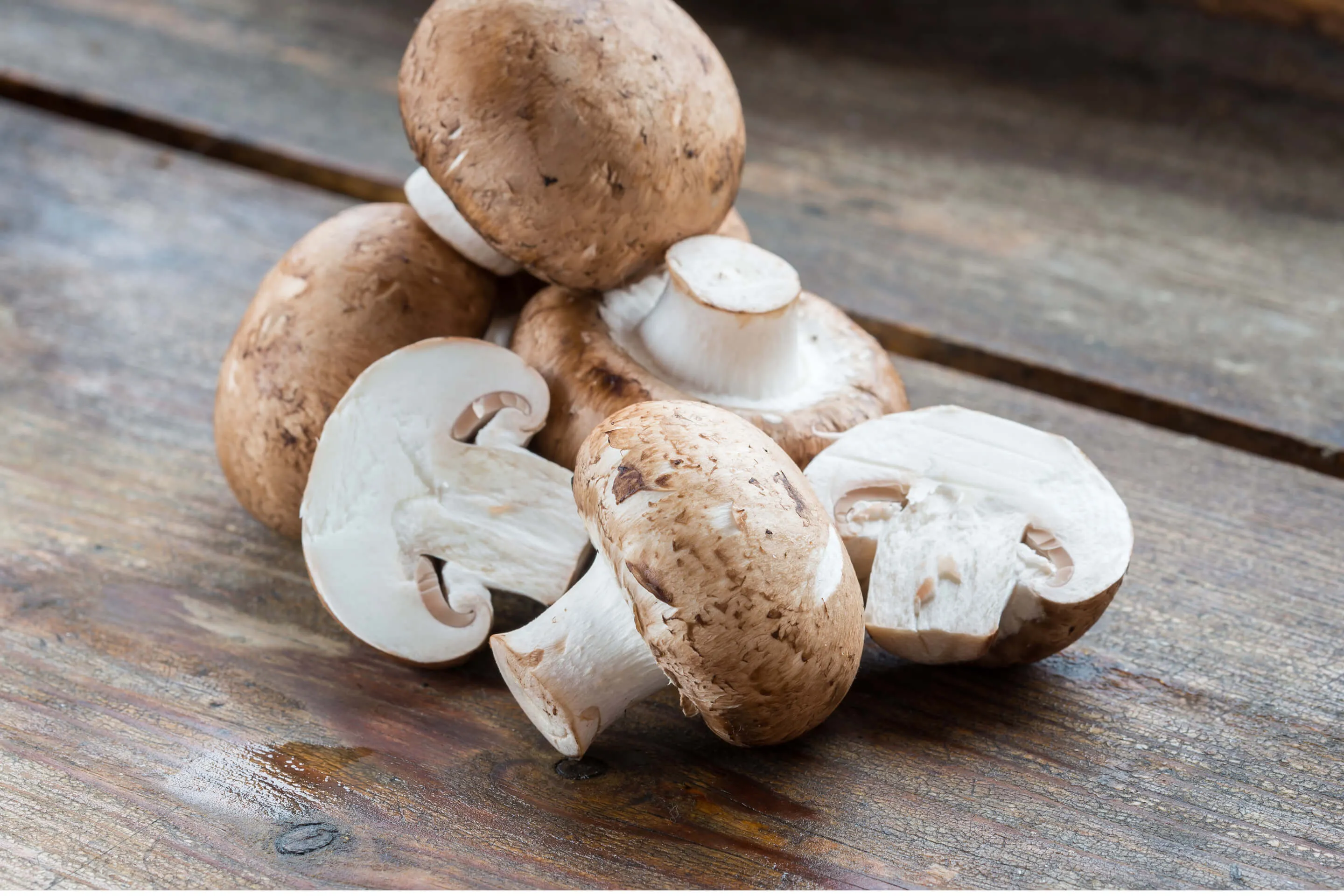 Bio Champignons in Scheiben