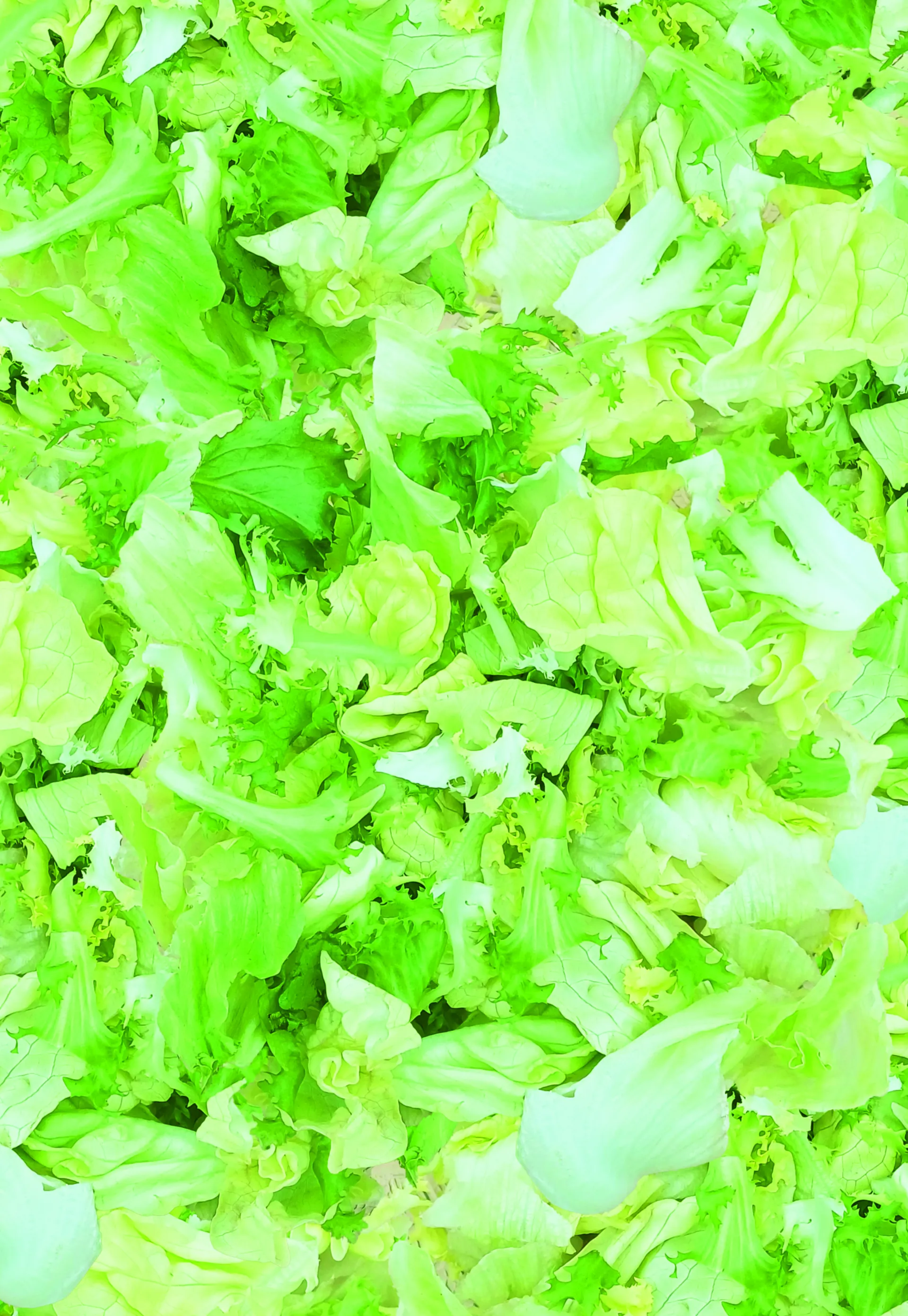 Grüner Mix