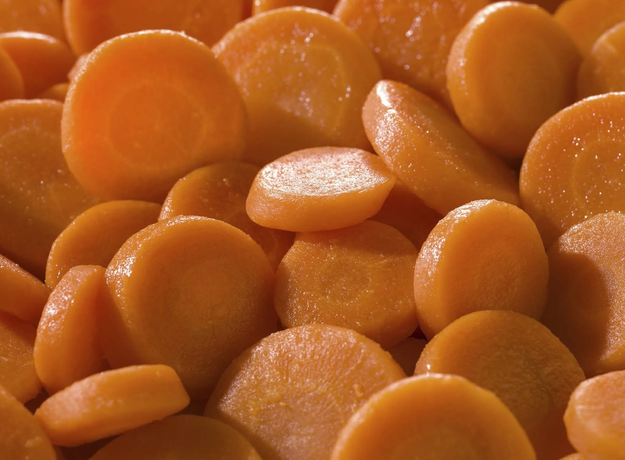 CAROTE A RONDELLE 2K5