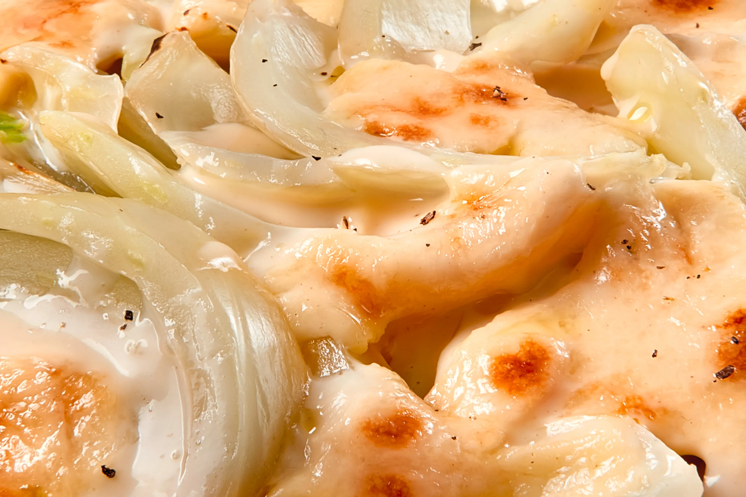 Finocchi con besciamella vegetale - I Contornissimi
