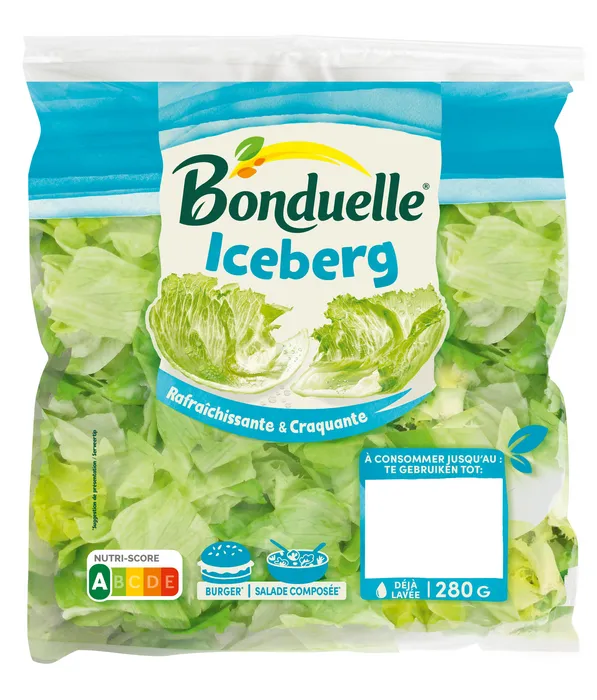 Iceberg