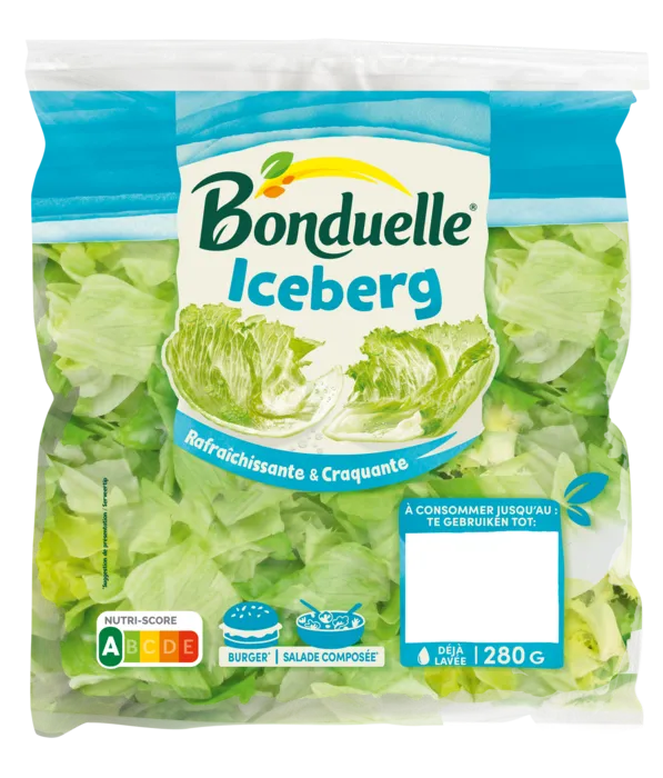 Iceberg