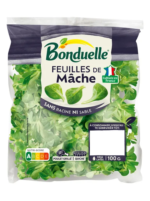 Feuilles de mâche
