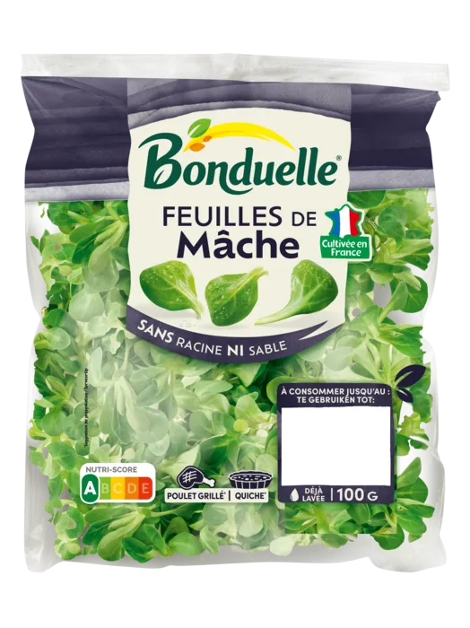 Feuilles de mâche