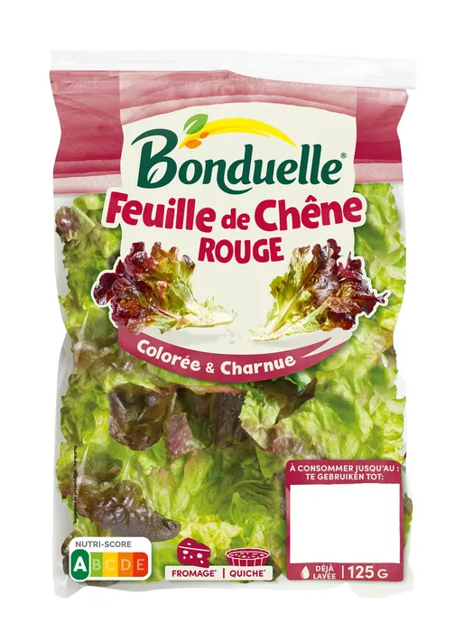 Feuille de chêne rouge
