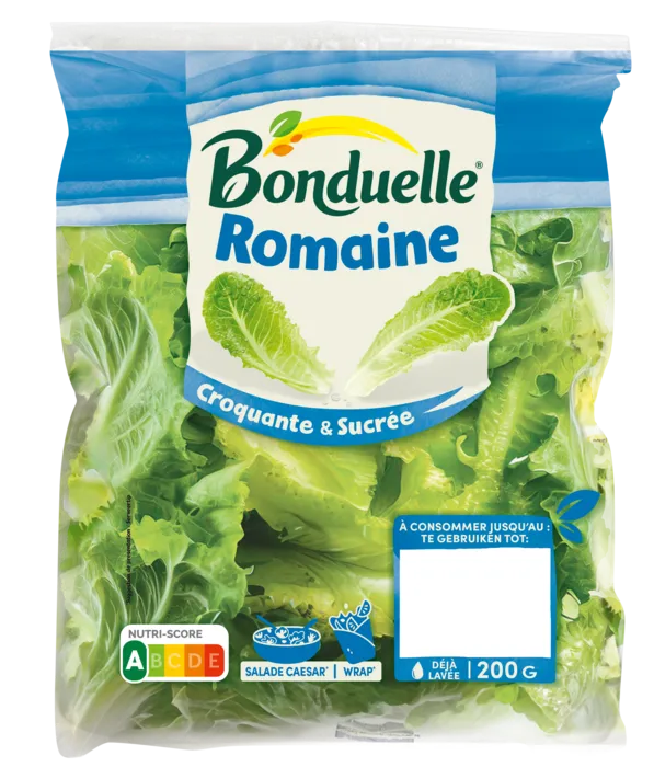 Laitue Romaine