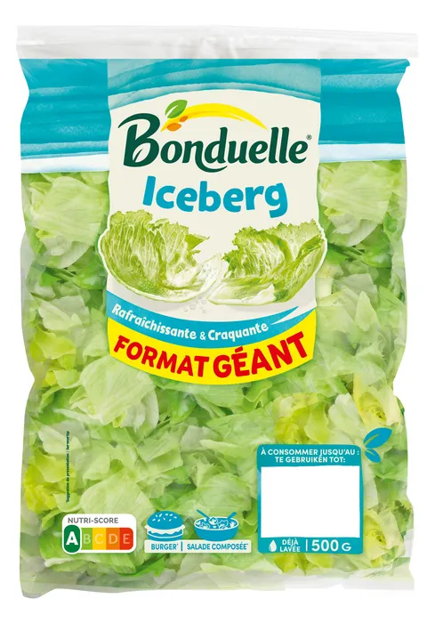 Iceberg