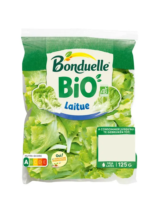 Laitue Bio