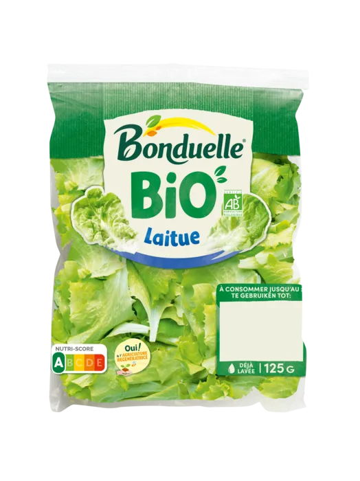 Laitue Bio