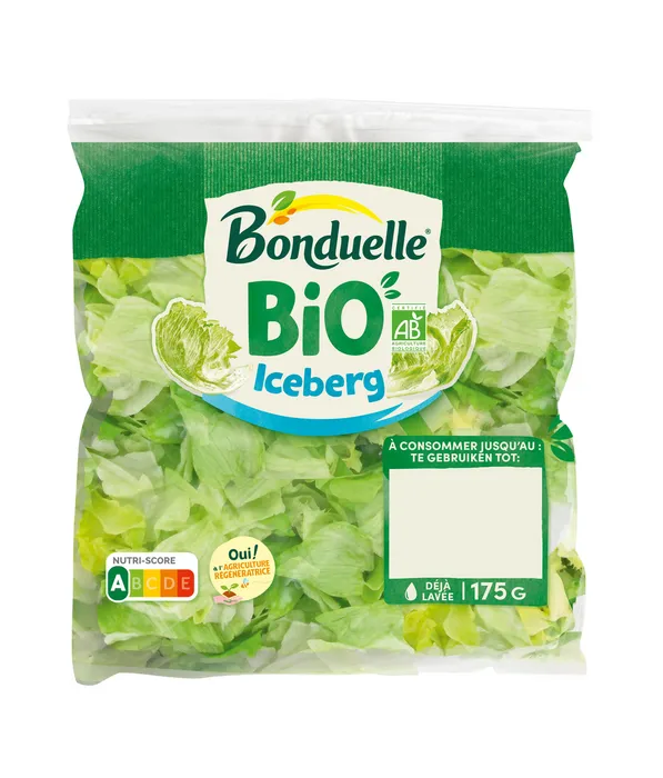 Iceberg Bio