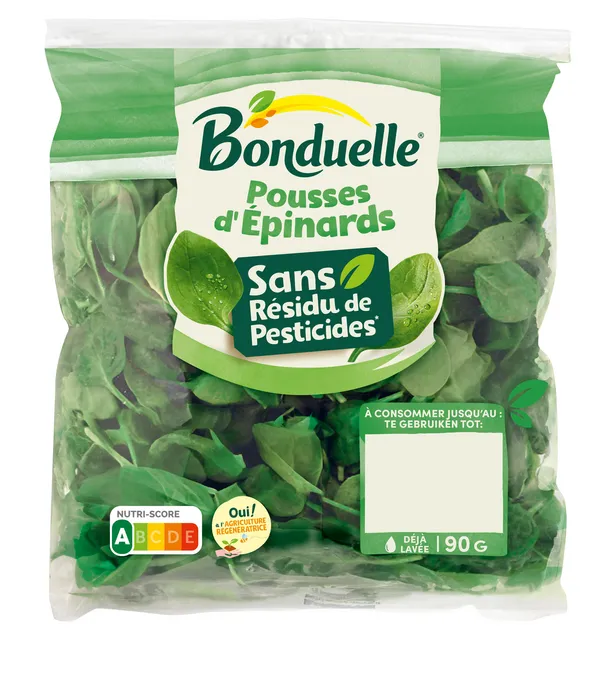 Pousses d'épinards sans résidu de pesticides