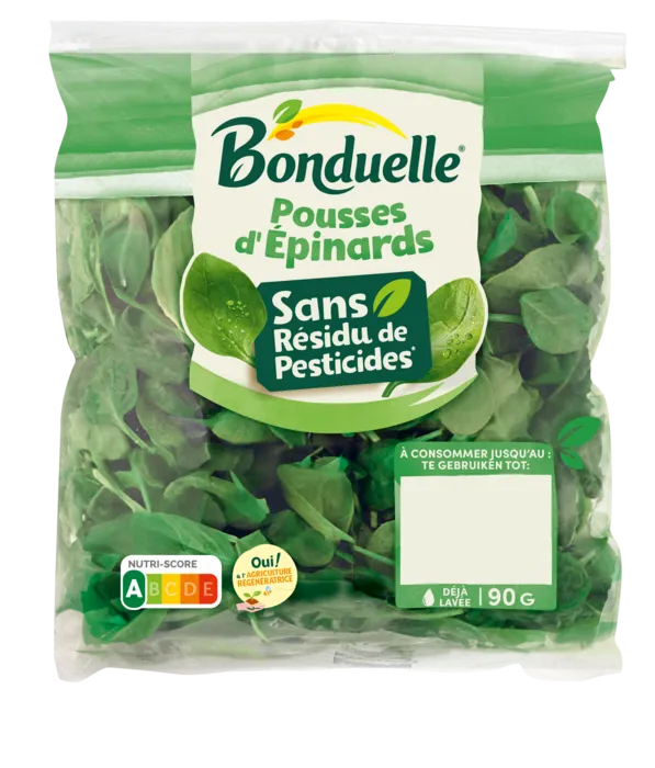 Pousses d'épinards sans résidu de pesticides