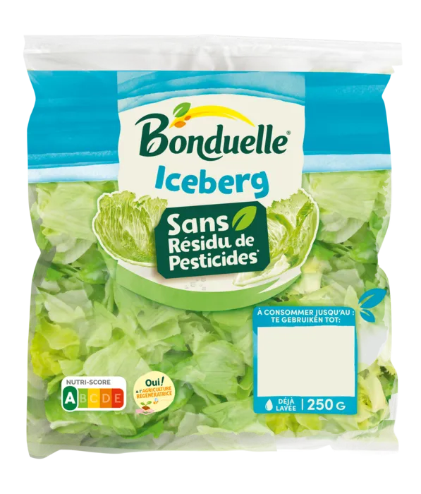Iceberg sans résidu de pesticides