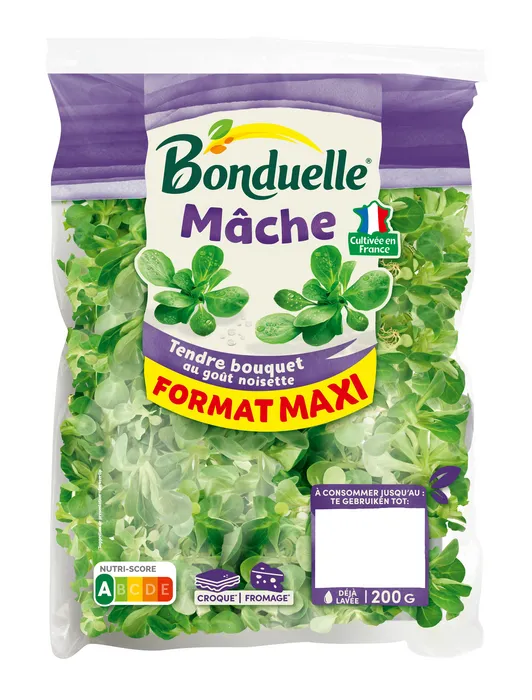 Mâche