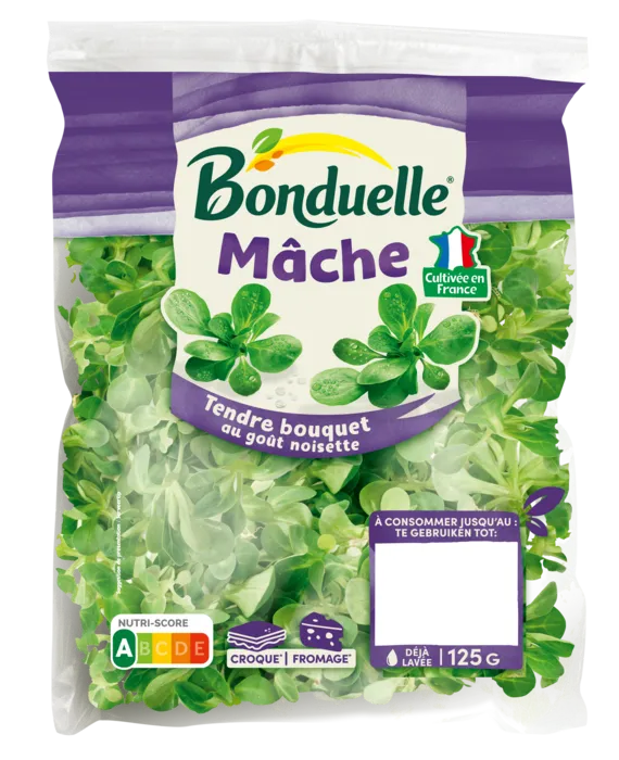 Mâche