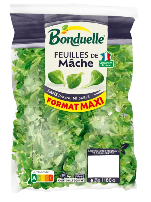 Feuilles de Mâche Format Maxi