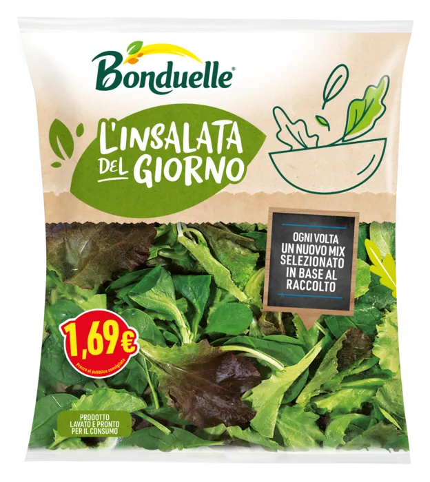 Insalata del Giorno