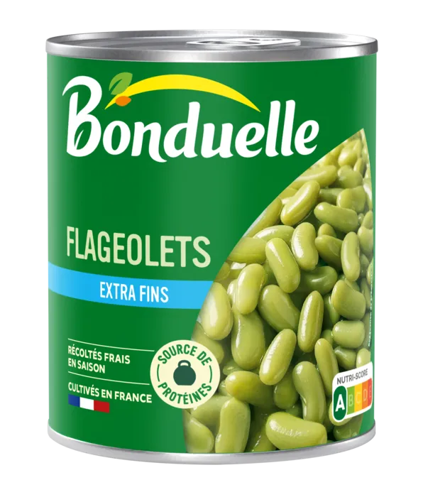 FLAGEOLETS VERTS EXTRA FINS